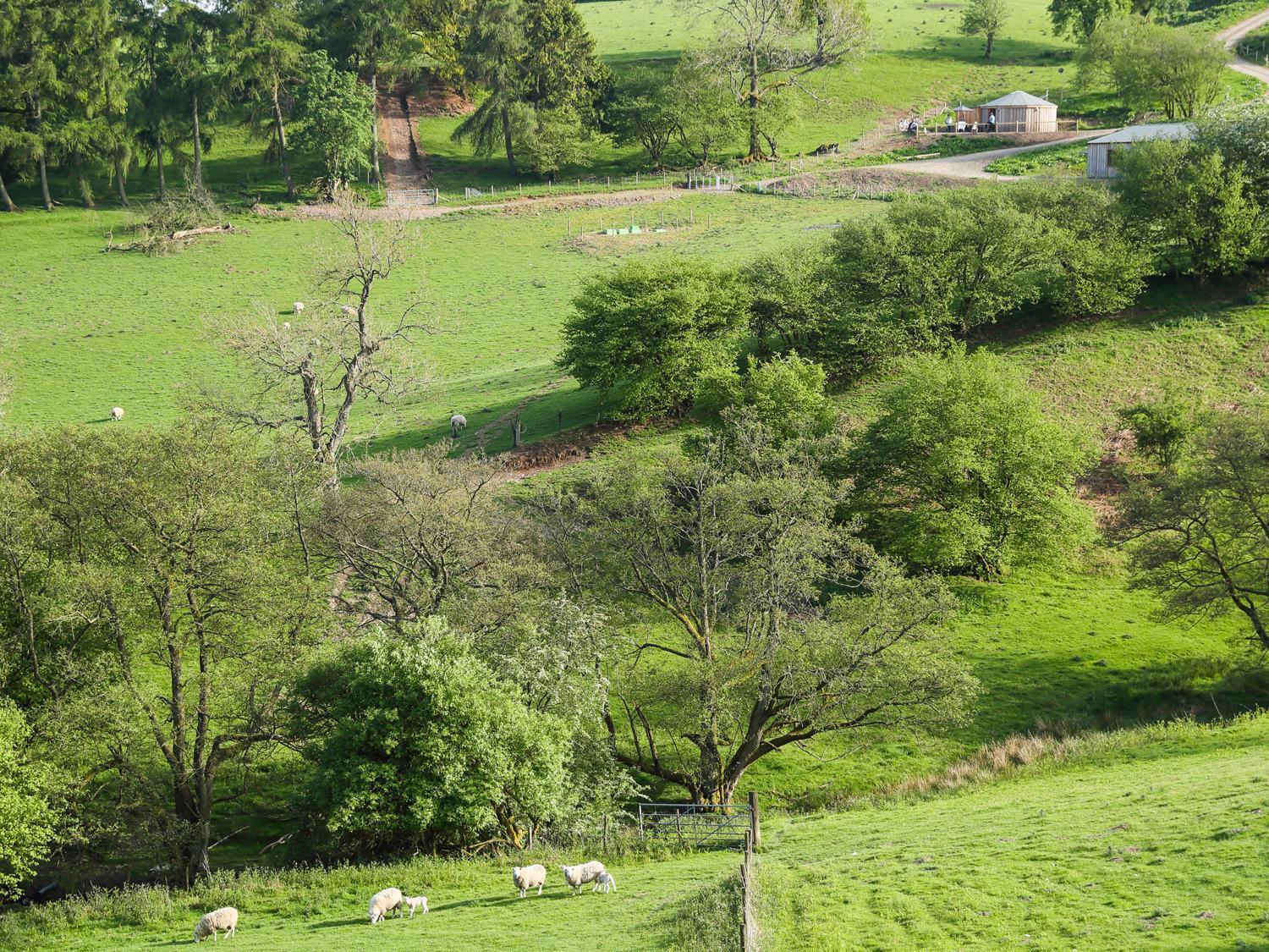 Villa Rolling Hills Newcastle  Exterior foto